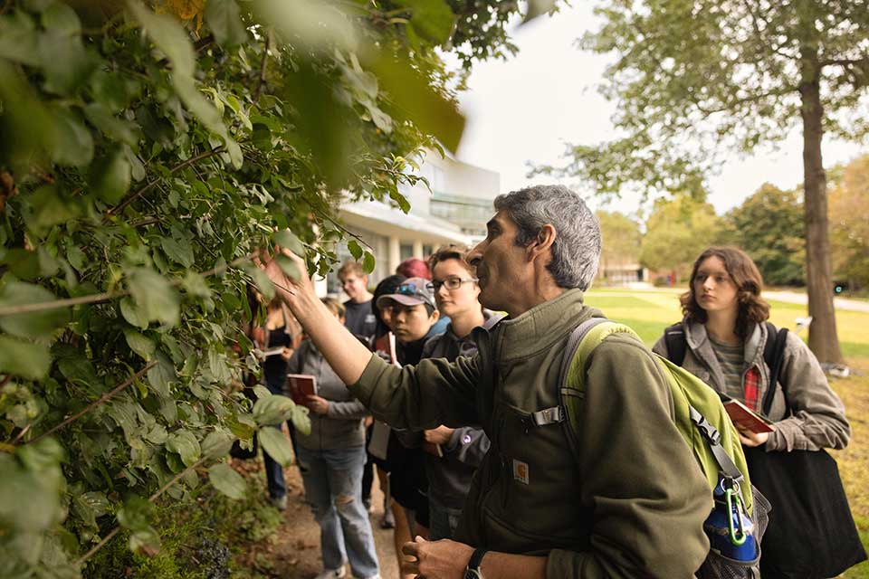Students inspecting nature outdoors