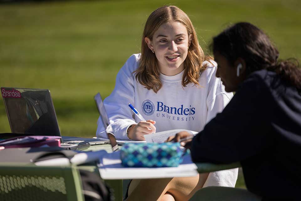 Students studying together in Fellows Garden
