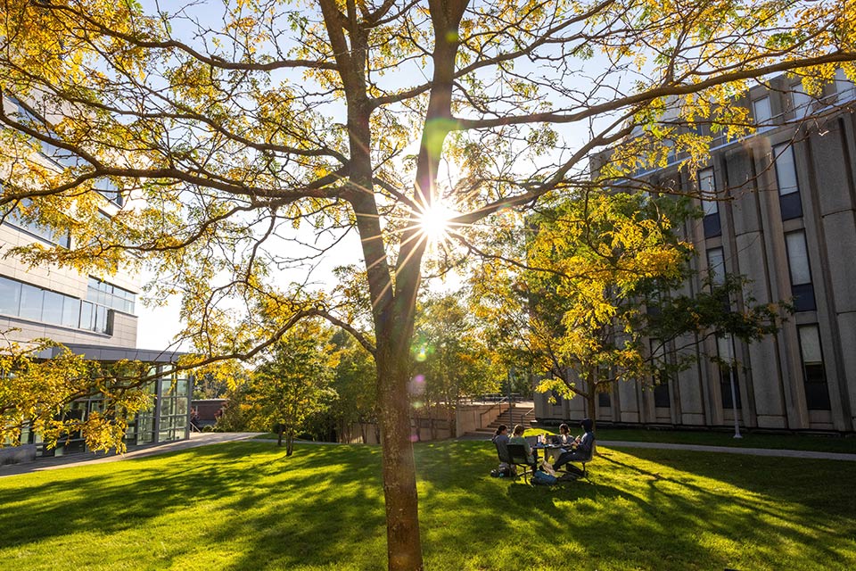 The Brandeis campus in fall