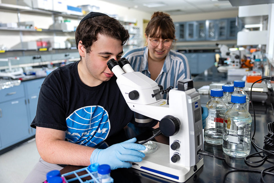 Students working together in a lab, one looking into a microscope