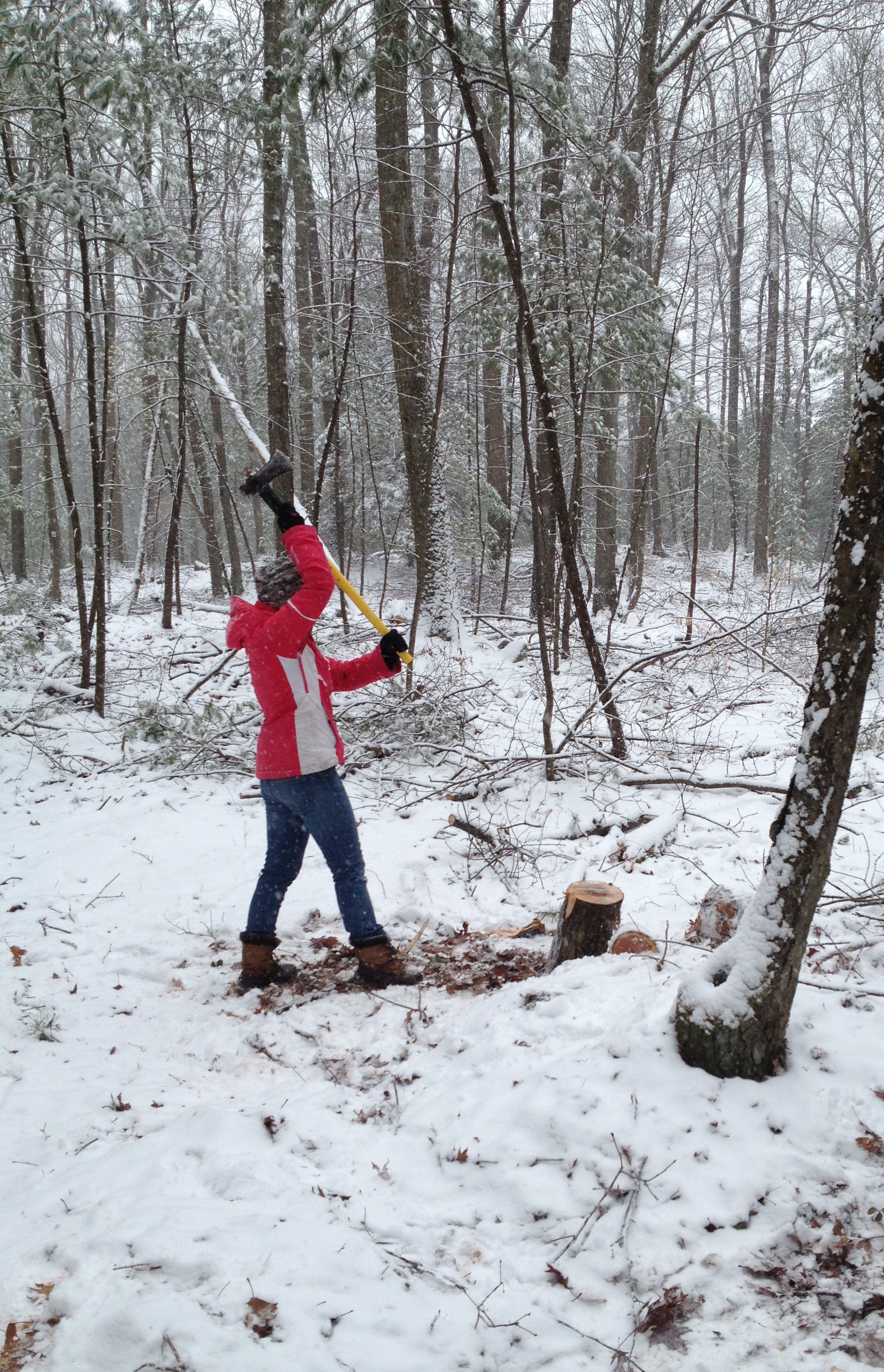 Green Job Resources Environmental Studies Program Brandeis University