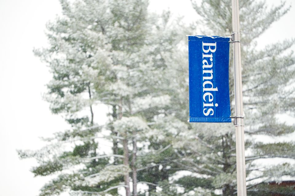 brandeis sign with snow in background