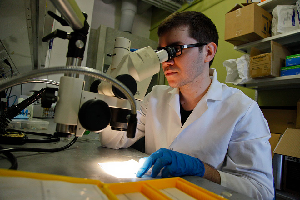 student using microscope in Katz lab