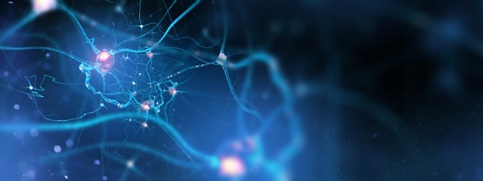neuron