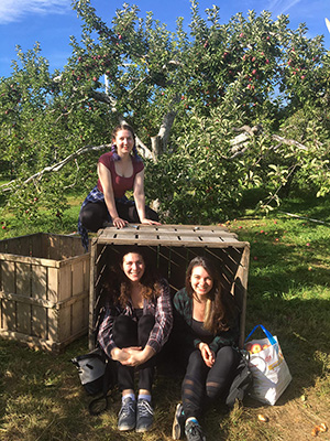 Apple picking at a local orchard