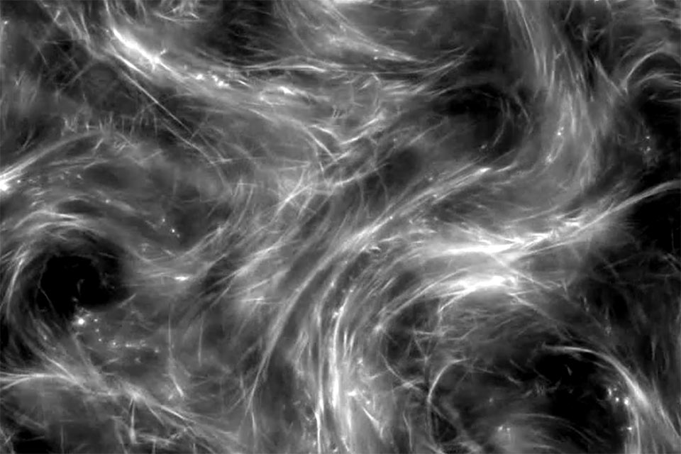Active matter in black and white