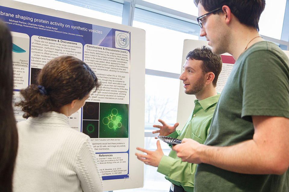 Students giving a poster presentation