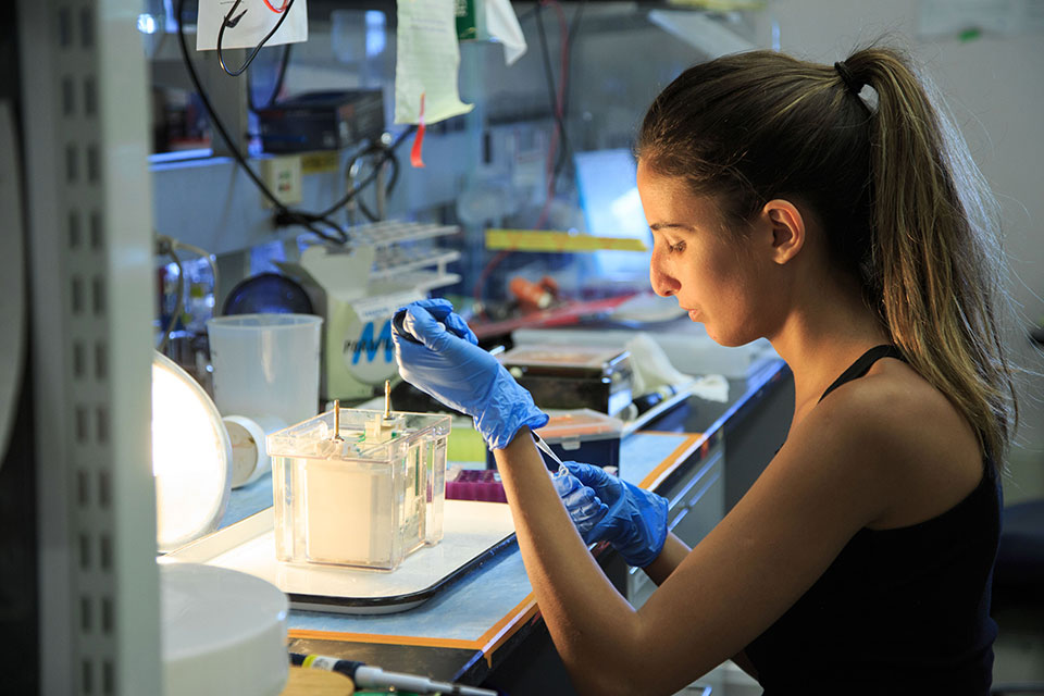 Student working a lab