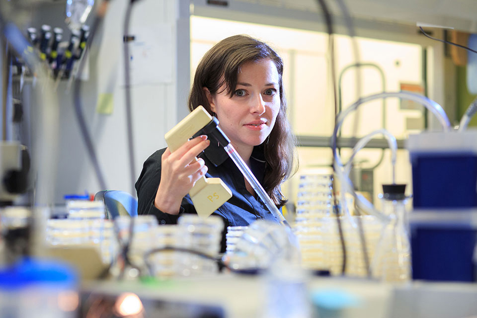 Graduate student working in a lab