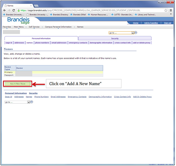 Screenshot highlighting the "Add a New Name" button.