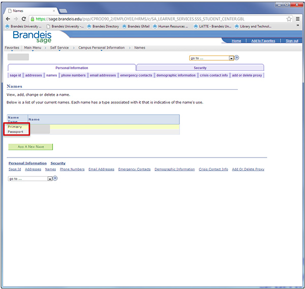 screenshot highlighting the "primary" and "passport" name options.