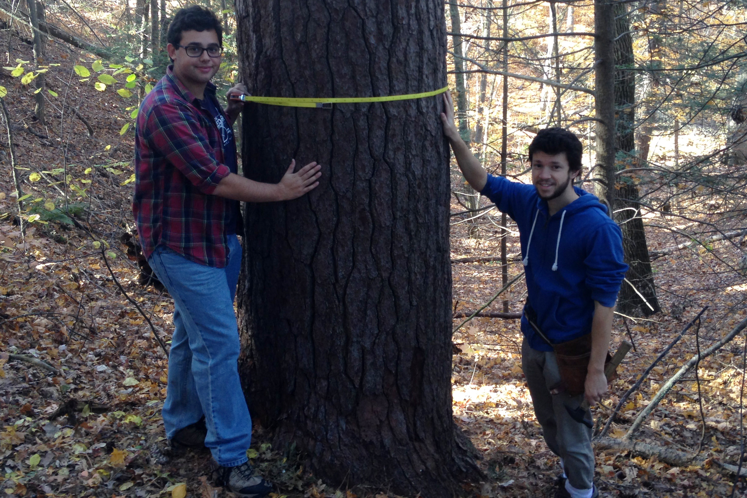 2 students measure tree