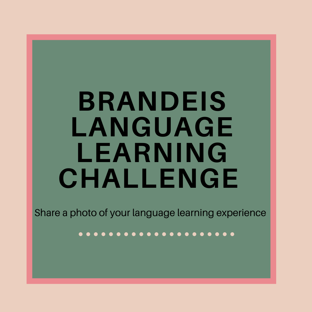 Flyer with green box and pink outlines. Text reads: Brandeis Language Learning Challenge, Share a photo of your language learning experience.