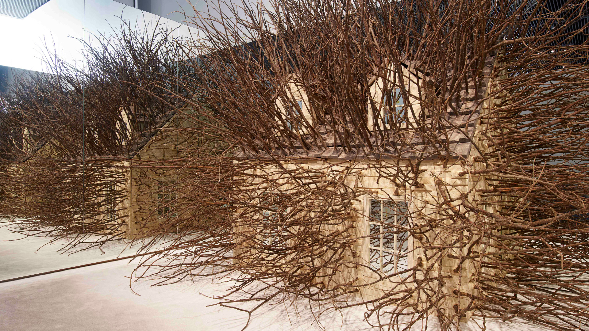 Hedges by Hugh Hayden