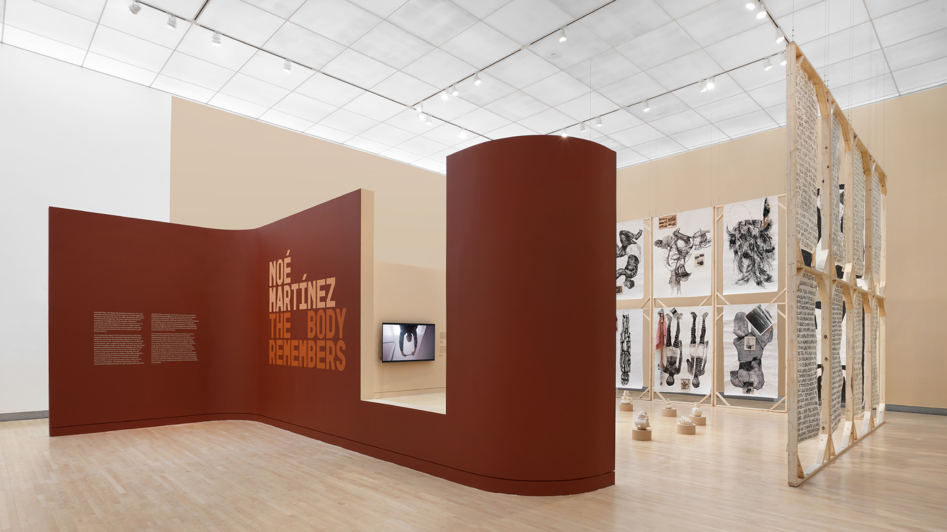 Installation view of "Noé Martínez: The Body Remembers"
