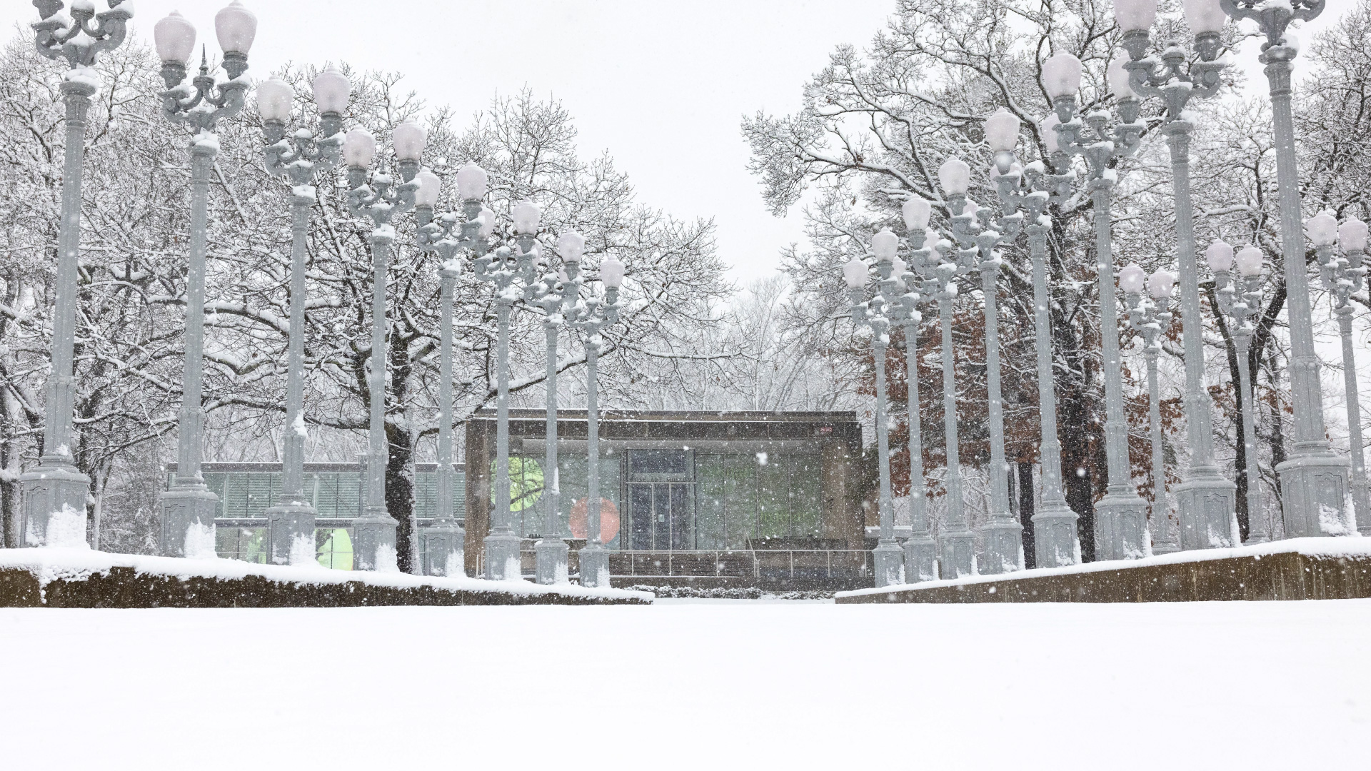 People gathering at an opening reception at the Rose Art Museum