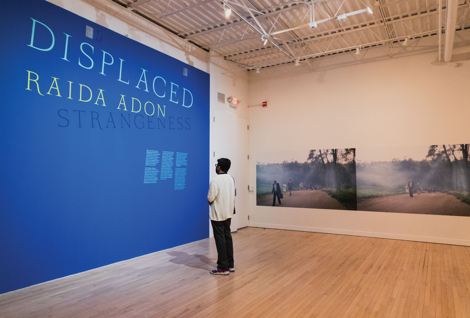 Installation view of "Displaced: Raida Adon's Strangeness"
