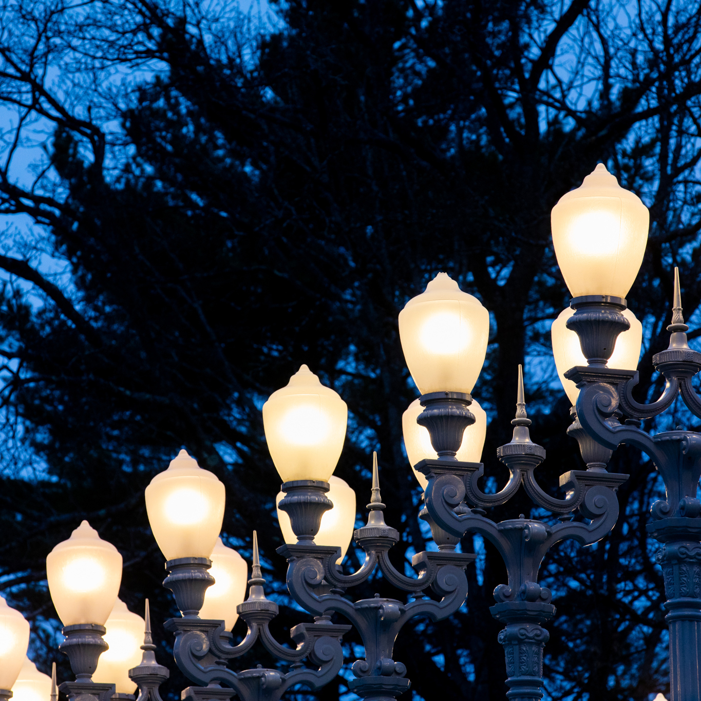 Outdoor street lamps of Chris Burden sculpture illuminated