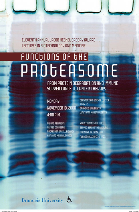 11th Annual Jacob Heskel Gabbay Award Lecture in Biotechnology and Medicine Functions of the Proteasome: From Protein Degradation and Immune Surveillance to Cancer Therapy Alfred Goldberg November 10, 2008, 4:00 p.m., Gerstenzang 121