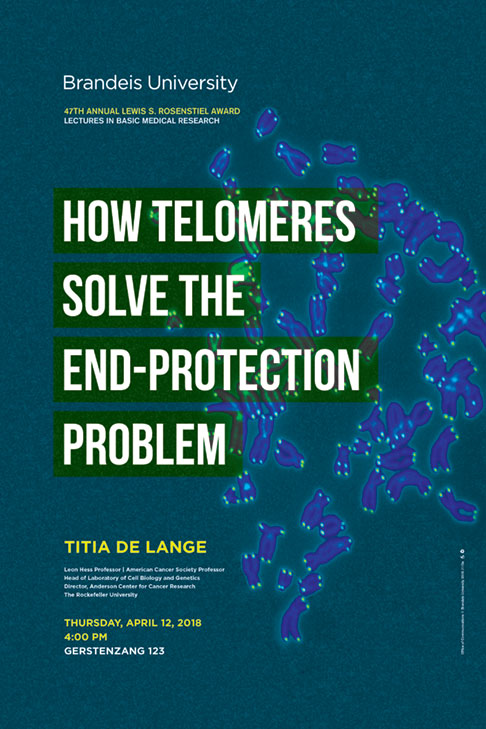 47th Annual Lewis S. Rosenstiel Award in Basic Medical Research Lecture How Telomeres Solve The End-Protection Problem Titia de Lange April 12, 2018, 4:00 p.m. Gerstenzang 123