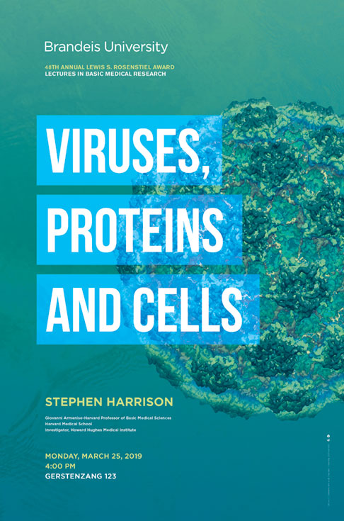 48th Annual Lewis S. Rosenstiel Award in Basic Medical Research Lecture Viruses, Proteins and Cells Stephen Harrison March 25, 2019, 4:00 p.m. Gerstenzang 123