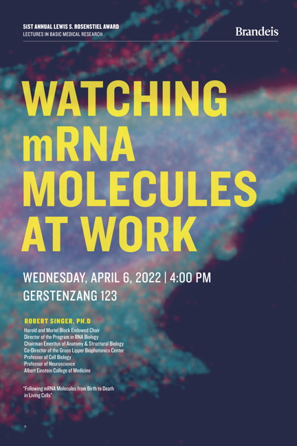 51st Annual Lewis S. Rosenstiel Award in Basic Medical Research Lecture Watching mRNA Molecules at Work Award Recipient Robert Singer Wednesday, April 6, 2022, 4:00 p.m. Gerstenzang 123