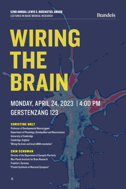 52nd Annual Lewis S. Rosenstiel Award in Basic Medical Research Lectures Wiring the Brain and Local mRNA Translation by Award Recipient Christine Holt and Protein Synthesis at Neuronal Synapses by Award Recipient Erin Schuman Monday, April 24, 2023, 4:00 p.m. Gerstenzang 123