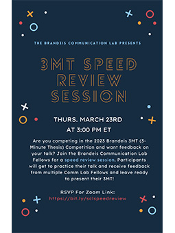3MT speed review session poster