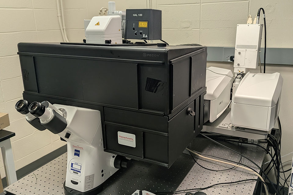 Zeiss LSM980 Airyscan2 with NIR Detector