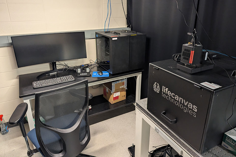 Toothless - LifeCanvas Technologies