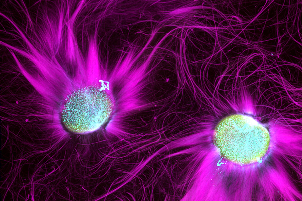 Colorful lights and patterns