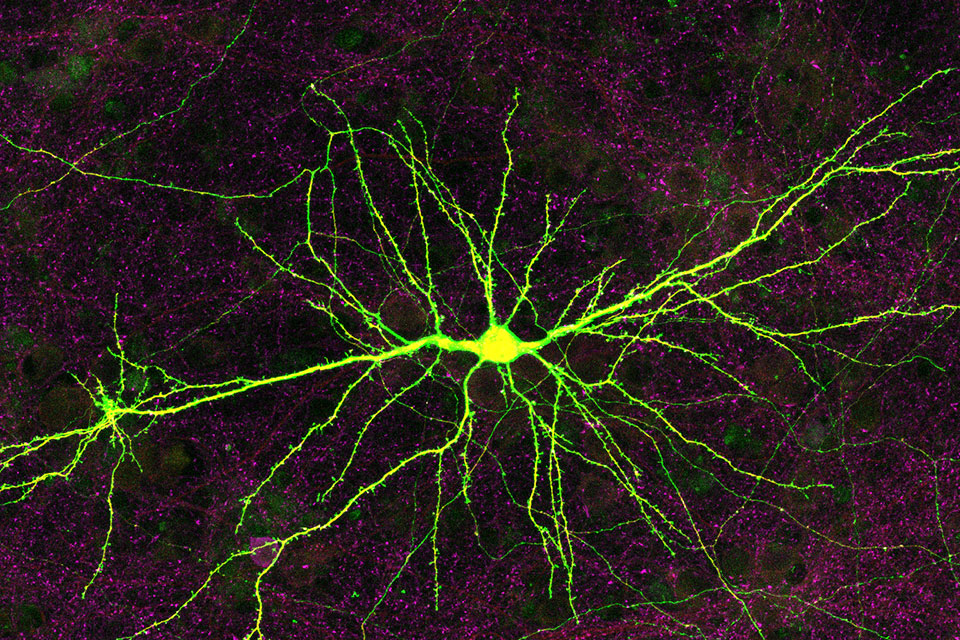 Colorful lights and patterns