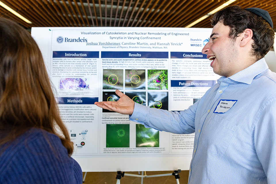 A student presents research poster at SciFest