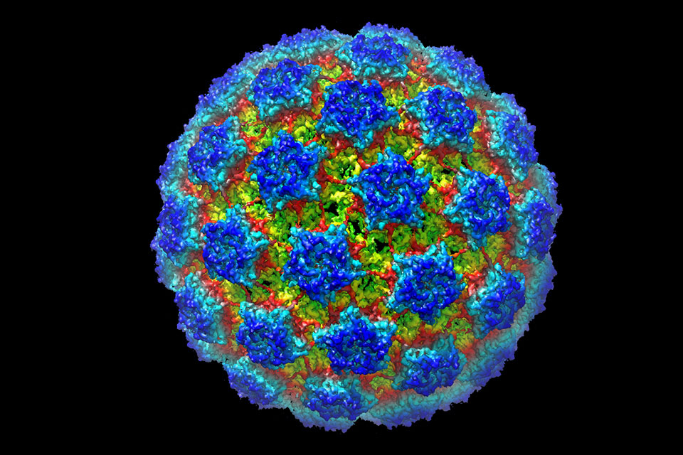 media shuttle plugin virus media shuttle plugin virus