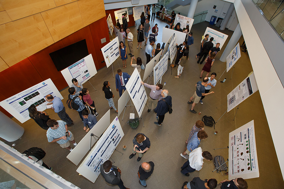 Students participating at SciFest poster presentations