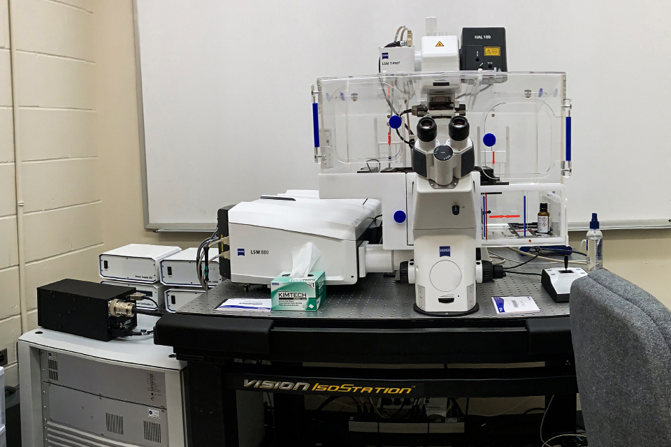 Zeiss 880 FAS