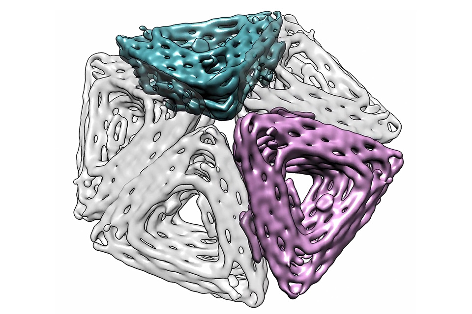 DNA Origami Triangle, Rogers and Fraden labs