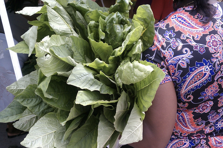 Person holding bundle of greens from Farmer's Market