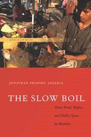 The Slow Boil book cover