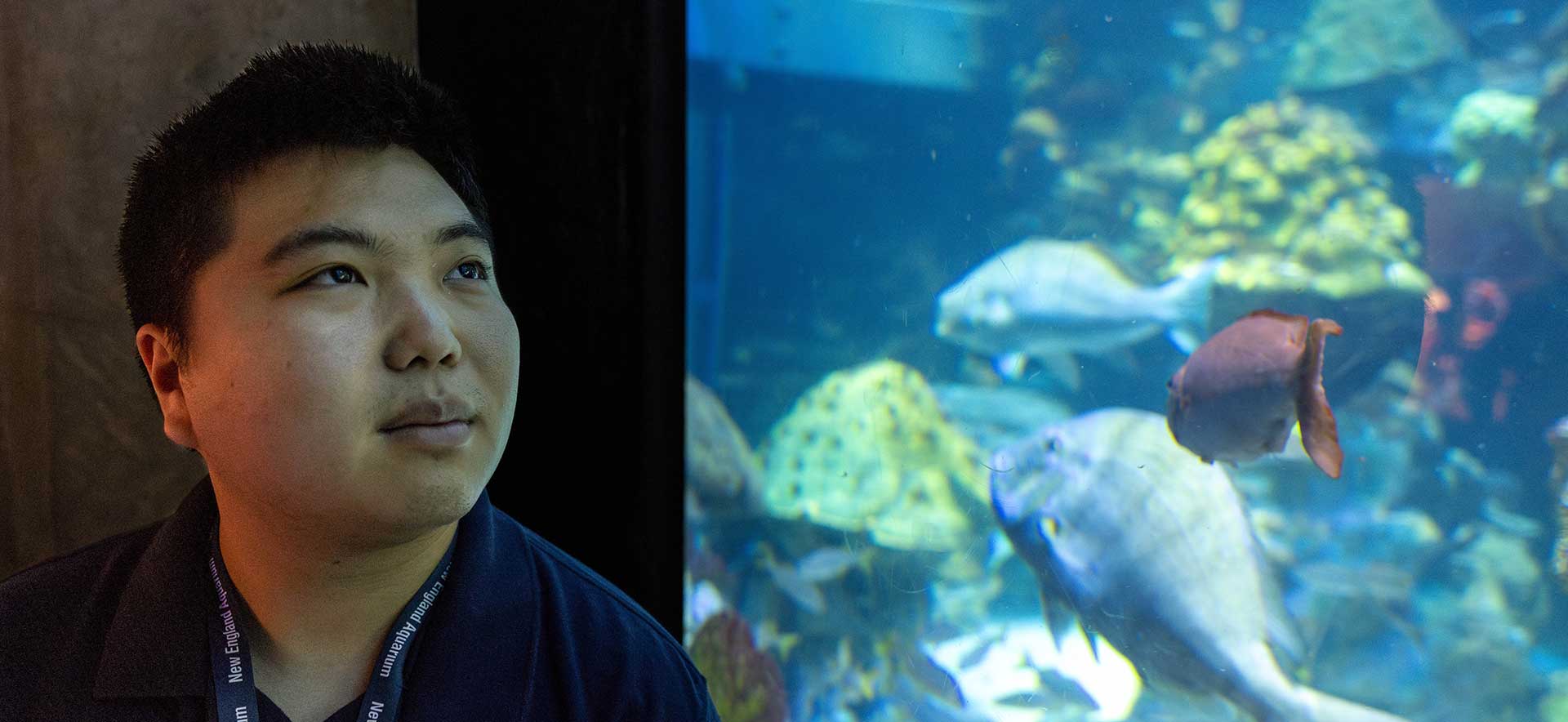 Declan Tsuyuki looks at an aquarium