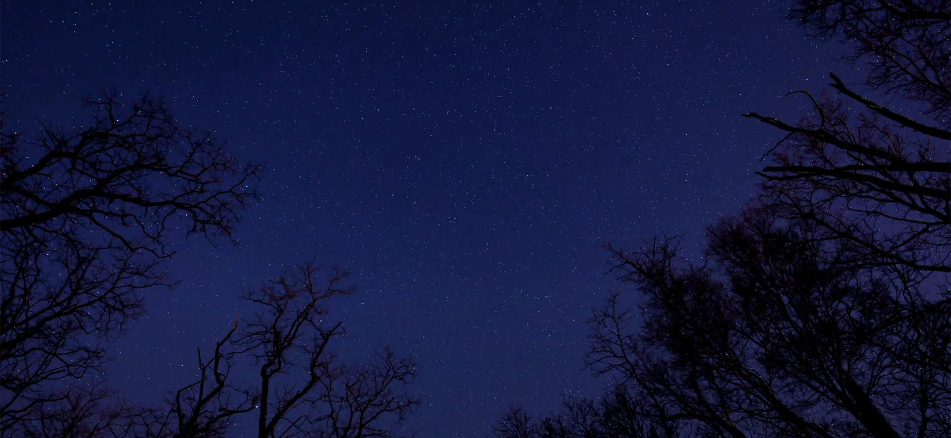 The dark night sky with stars