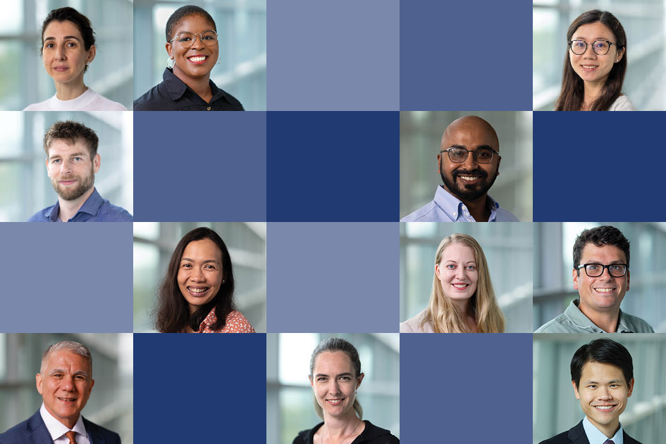 Mosaic grid of tiles, some solid blue hues, and others faculty headshots