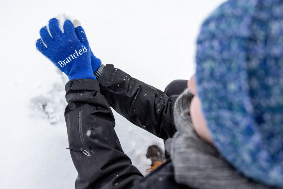 Student picks up snow wearing Brandeis gloves