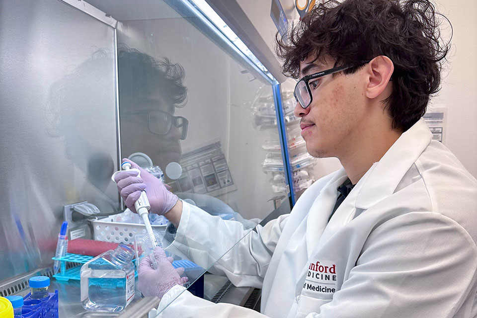 Walid Ichcho performing research in a lab at his internship.