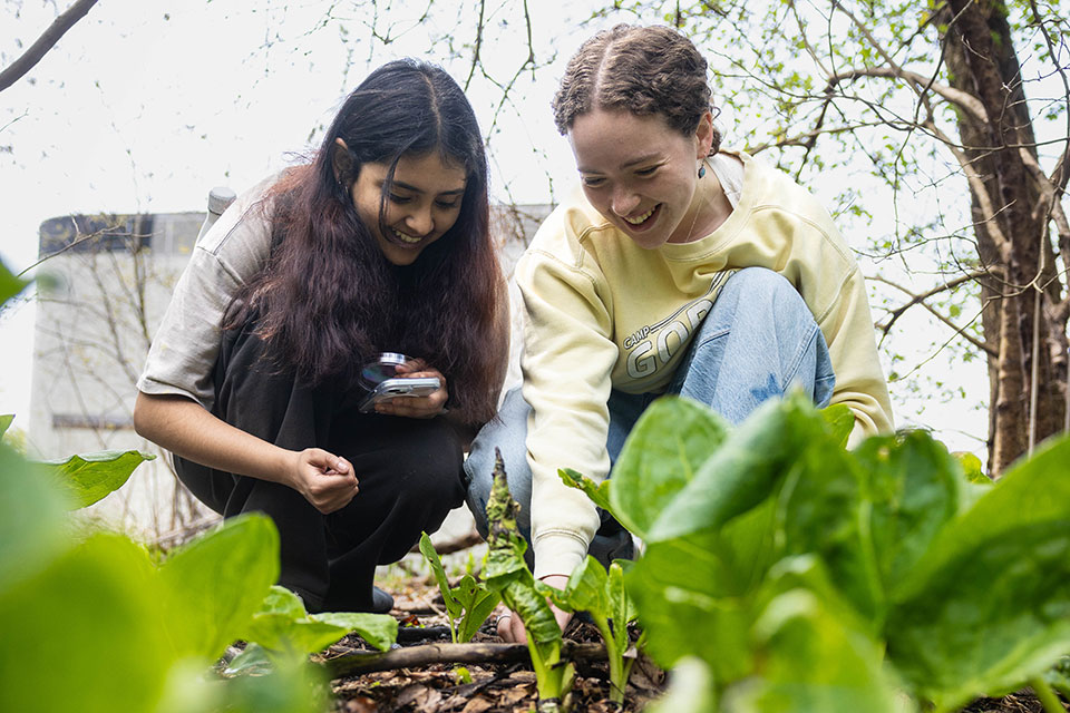 Two students look for species in the woods.