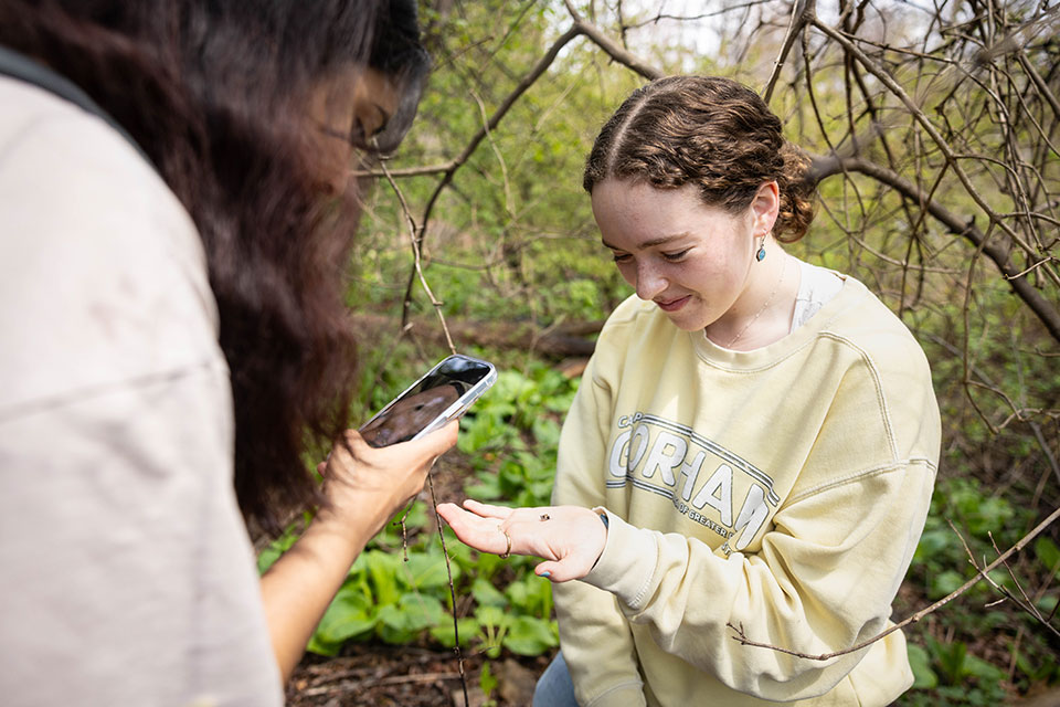 Two students examine an insect in the woods. One student holds the insect while the other takes a photo.