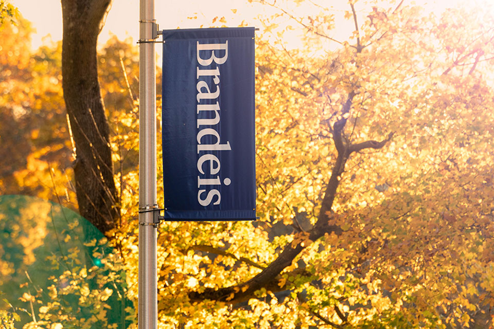 The Brandeis sign in front of fall foliage.