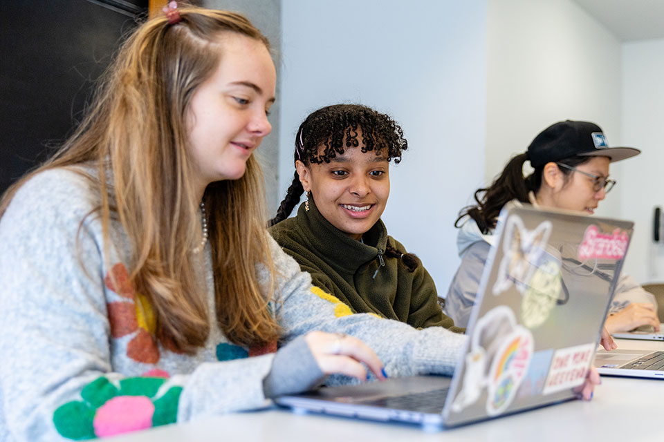 Students work on a laptop during Colleen Hitchcock’s first ever virtual exchange/collaborative online international learning class.