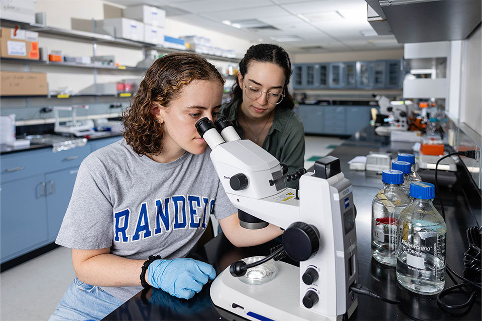 Two students work at a microscope in a lab.
