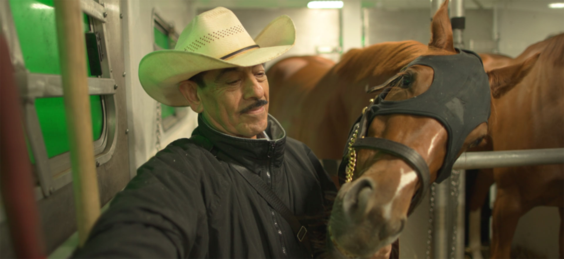 A man stands with a horse.